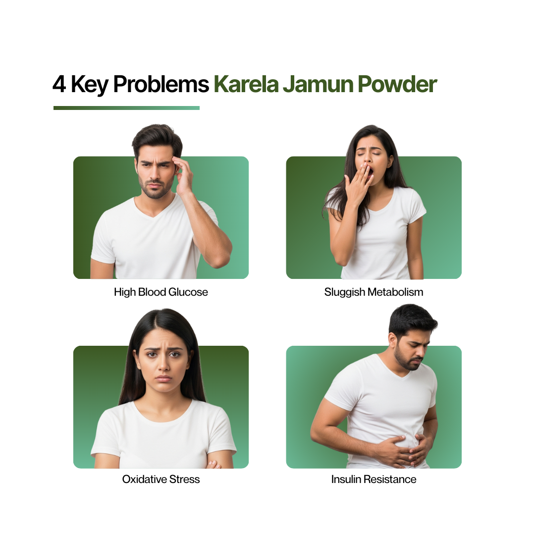 Dr Vedic Karela Jamun Powder – 250g