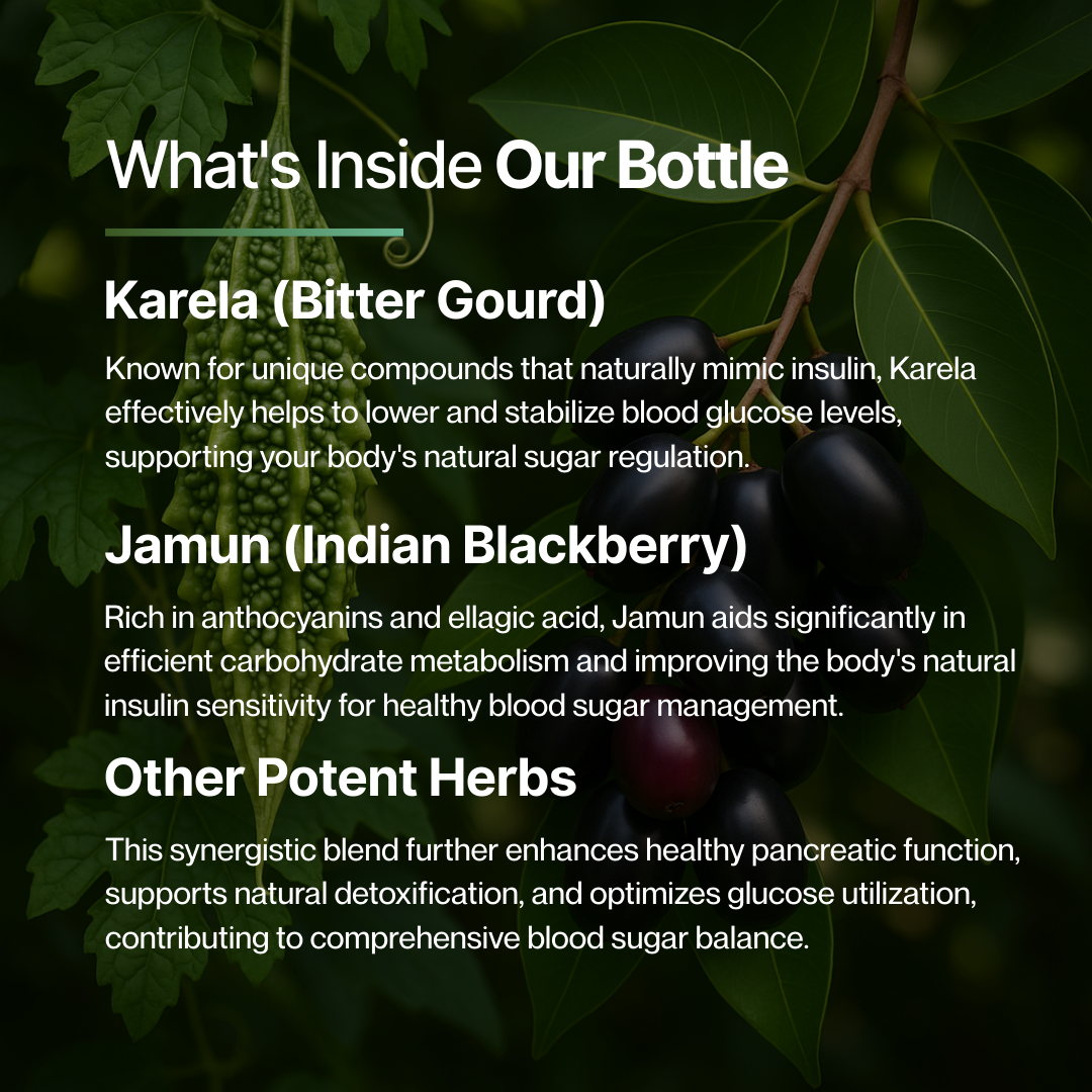 Dr Vedic Karela Jamun Powder – 250g