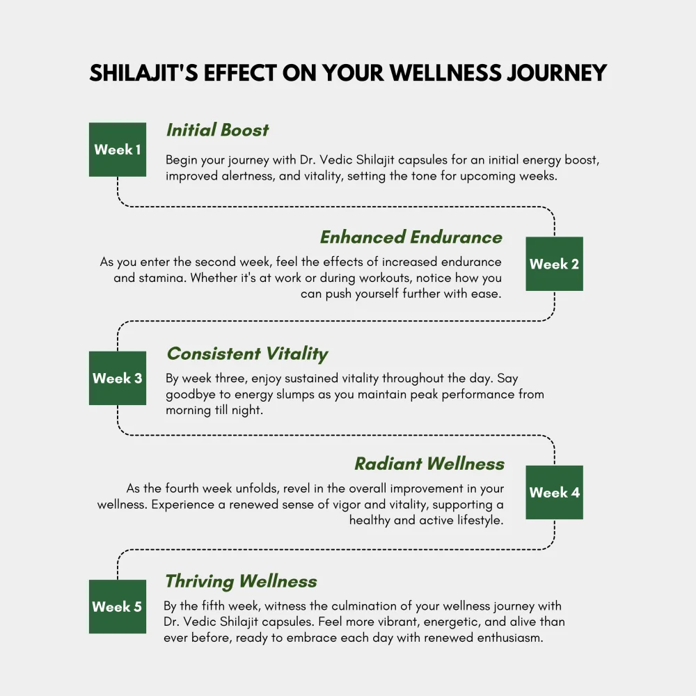 Dr.Vedic Shilajit Capsules